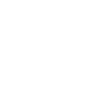 logo blanco